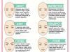 Форма бровей по типу лица: схема, ошибки (фото) Какие подойдут брови если тип лица ован